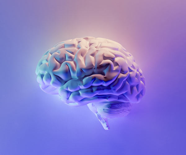 colorful illuminated brain
